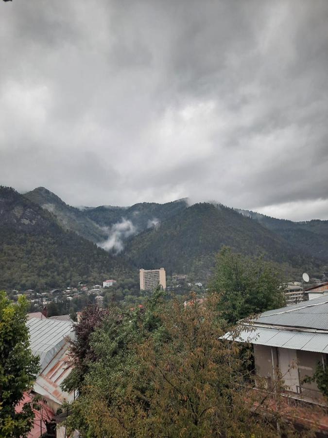 Guest House Bochora Borjomi Eksteriør bilde