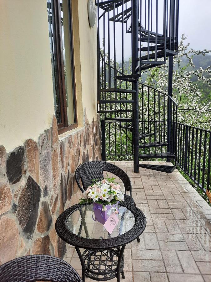 Guest House Bochora Borjomi Eksteriør bilde