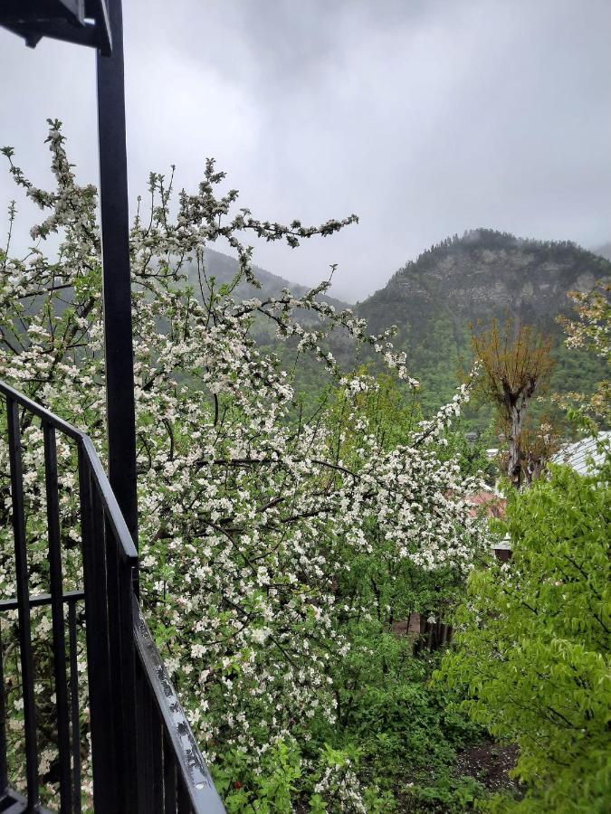 Guest House Bochora Borjomi Eksteriør bilde